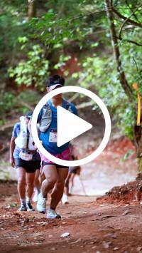 BIB:  <button type="button" onclick="openModal(27386858)" class="btn btn-primary btn-sm float-right" data-toggle="modal" data-target=".modal-high-quality">
                <i class="fa fa-download"></i> Download
                </button>